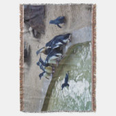 Pinguin Relay: Pinguin Flock Swim Team, Decke (Vorderseite Vertikal)