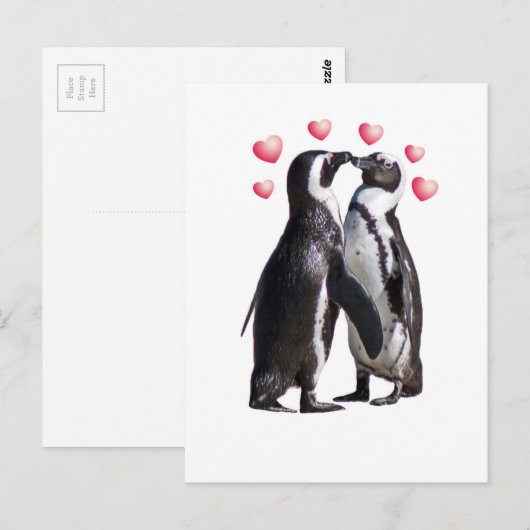 Pinguin Romance Postkarte (Vorne/Hinten)