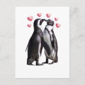 Pinguin Romance Postkarte (Vorderseite)