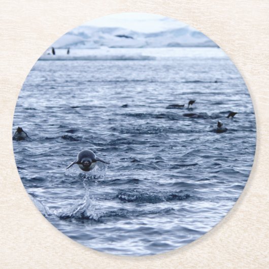 Pinguin Runder Pappuntersetzer (Vorderseite)