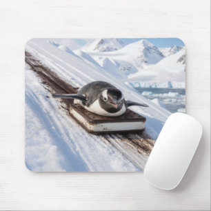 Pinguin rutscht auf einem Eiscreme-Sandwich-Schlit Mousepad