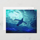 Pinguin Schwimmen Postkarte (Vorne/Hinten)