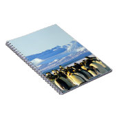 Pinguin-Spiralheft Notizblock (Rechte Seite)