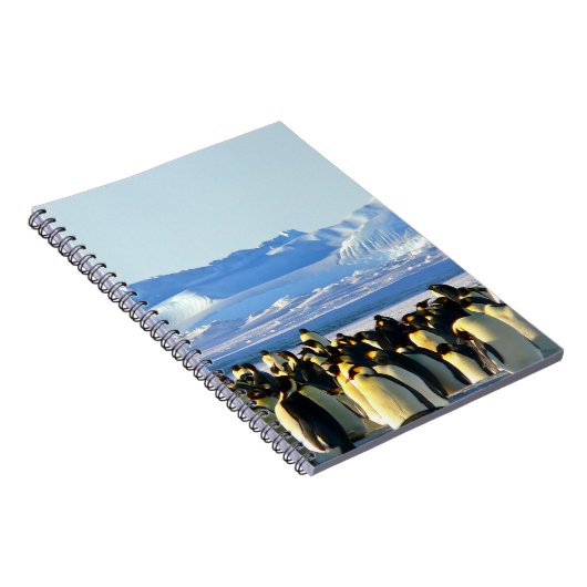 Pinguin-Spiralheft Notizblock (Rechte Seite)