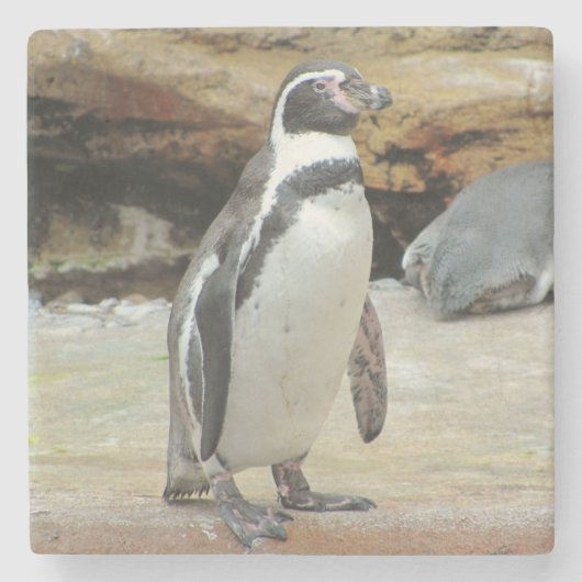 Pinguin Stehend Alone Steinuntersetzer (Vorderseite)