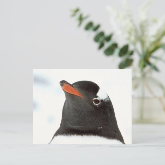 pinguin-tastisch postkarte (Stehend Vorderseite)