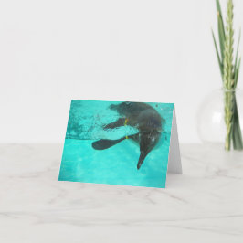 Pinguin tauchen in blauem Wasser auf einem leeren