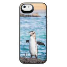 Pinguin-Telefon-Kasten