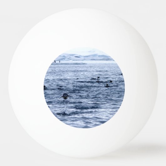 Pinguin Tischtennisball (Rückseite)