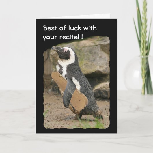 Pinguin Violin Erwägungsgrund (Viel Glück) Karte (Vorderseite)