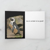 Pinguin Violin Erwägungsgrund (Viel Glück) Karte (Innenseite)