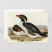 Pinguin von Elizabeth Gould Postkarte (Vorne/Hinten)