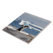 Pinguin vor einem Eisbogen Fliese (Seite)