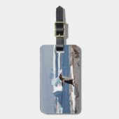 Pinguin vor einem Eisbogen Gepäckanhänger (Vorderseite vertikal)