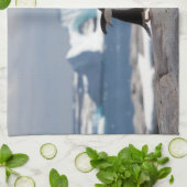 Pinguin vor einem Eisbogen Geschirrtuch (Gefaltet)