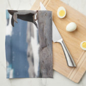 Pinguin vor einem Eisbogen Geschirrtuch (Viertel Falte)