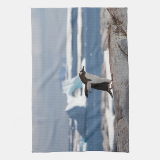 Pinguin vor einem Eisbogen Geschirrtuch (Vertikal)