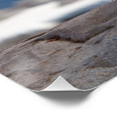 Pinguin vor einem Eisbogen Poster (Ecke)