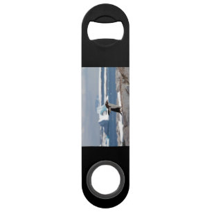 Pinguin vor einem Eisbogen Speed Flaschenöffner