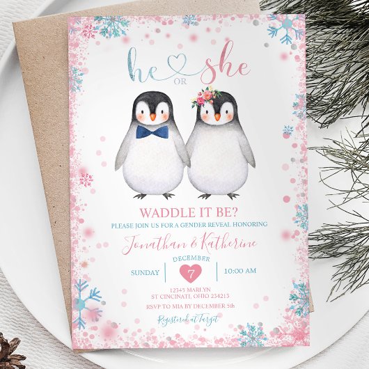 Pinguin Waddle ist es? Er oder sie Gender-Offenleg Einladung