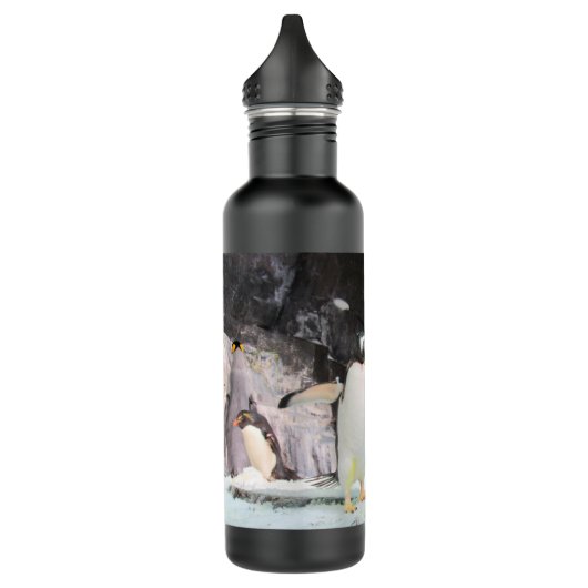Pinguin Wasserflasche Edelstahlflasche (Links)