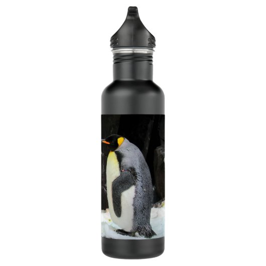 Pinguin Wasserflasche Edelstahlflasche (Rechts)