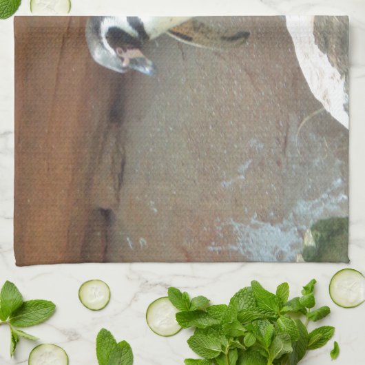 Pinguin, Wildtiere, Tiere, Wildvögel, Zoo, Sommer Handtuch (Gefaltet)
