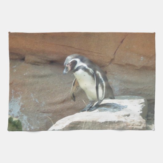 Pinguin, Wildtiere, Tiere, Wildvögel, Zoo, Sommer Handtuch (Horizontal)