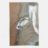 Pinguin, Wildtiere, Tiere, Wildvögel, Zoo, Sommer Handtuch (Vertikal)