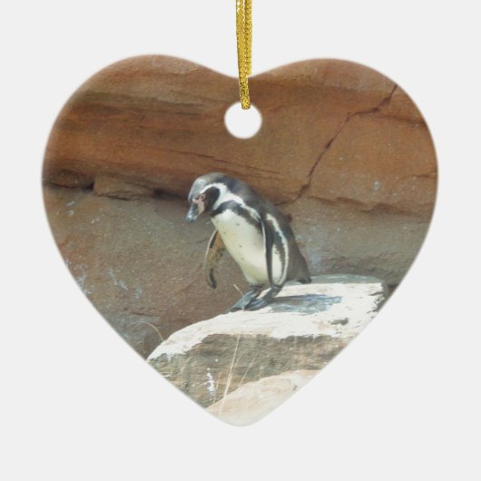 Pinguin, Wildtiere, Tiere, Wildvögel, Zoo, Sommer Keramik Ornament (Vorne)