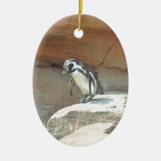 Pinguin, Wildtiere, Tiere, Wildvögel, Zoo, Sommer Keramikornament (Vorne)
