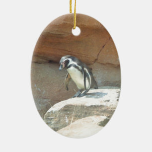 Pinguin, Wildtiere, Tiere, Wildvögel, Zoo, Sommer Keramikornament