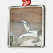 Pinguin, Wildtiere, Tiere, Wildvögel, Zoo, Sommer Silbernes Ornament (Links)