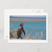 Pinguin will zu gehen postkarte (Vorne/Hinten)