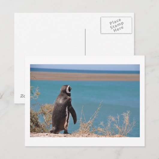 Pinguin will zu gehen postkarte (Vorne/Hinten)