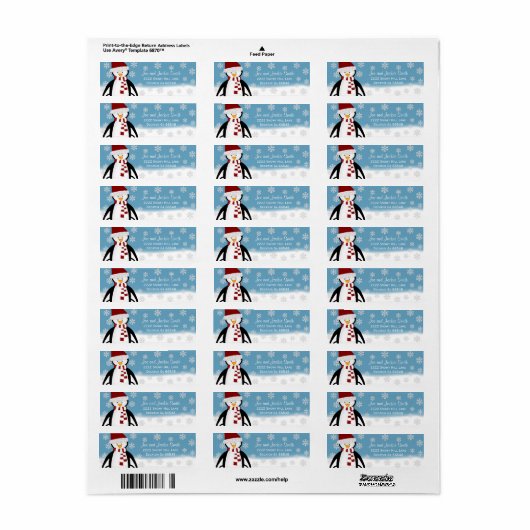 Pinguin: Winteradressen (Vorne)