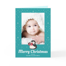 Pinguin Winterurlaub Erinnerungen Foto