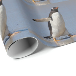 Pinguin-Wrap-Geschenkpapier Geschenkpapier