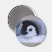 Pinguinbaby Magnet (Vorderseite/Rückseite)
