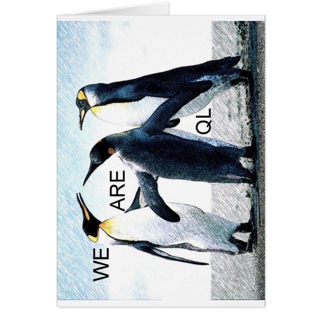 Pinguine (Vorne)
