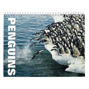 Pinguine 2022 Mauerkalender Kalender