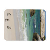 Pinguine am Boulders Beach, Simons Town, Süd 2 Magnet (Horizontal)
