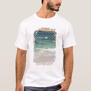 Pinguine am Boulders Beach, Simons Town, Süd 2 T-Shirt
