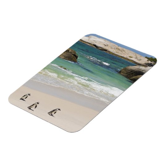 Pinguine am Boulders Beach, Simons Town, Süden 2 Magnet (Linke Seite)