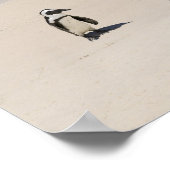 Pinguine am Boulders Beach, Simons Town, Süden 2 Poster (Ecke)