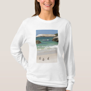 Pinguine am Boulders Beach, Simons Town, Süden 2 T-Shirt