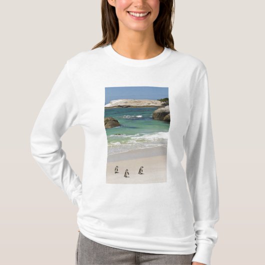 Pinguine am Boulders Beach, Simons Town, Süden 2 T-Shirt (Vorderseite)