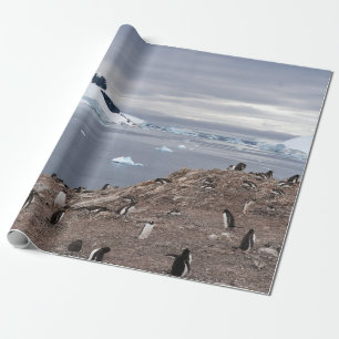 PINGUINE AM MEER GESCHENKPAPIER
