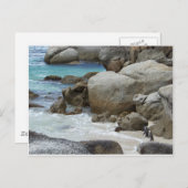 Pinguine am Strand Postkarte (Vorne/Hinten)