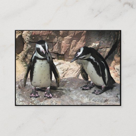 Pinguine ATC Visitenkarte (Vorderseite)